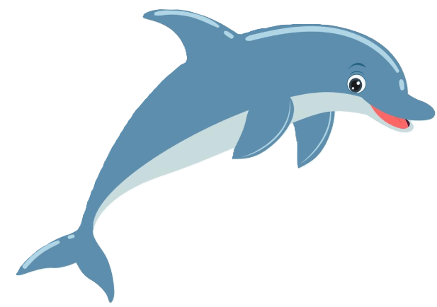 Dolphin